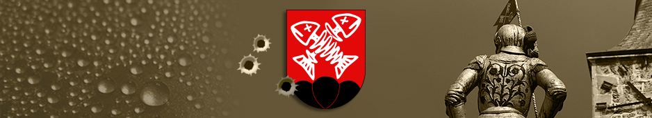 Logo entête La Neuveville